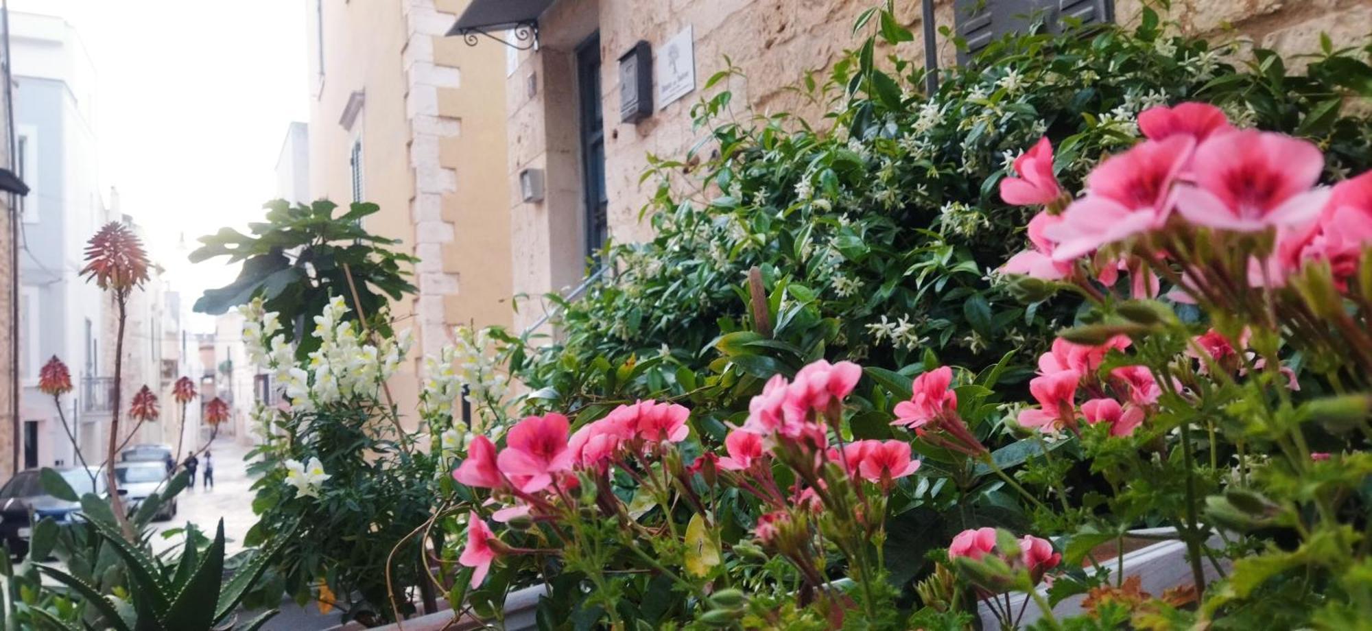 Bed and Breakfast Dimora Delle Badesse Conversano Exterior foto